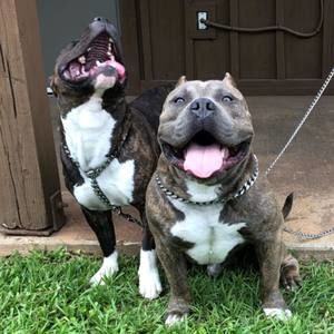 Meet your Posher, Jonny